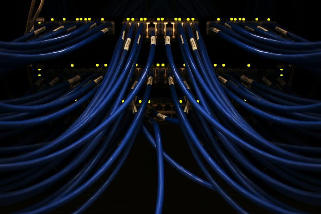 Blue Ethernet cables plugged into networking equipment