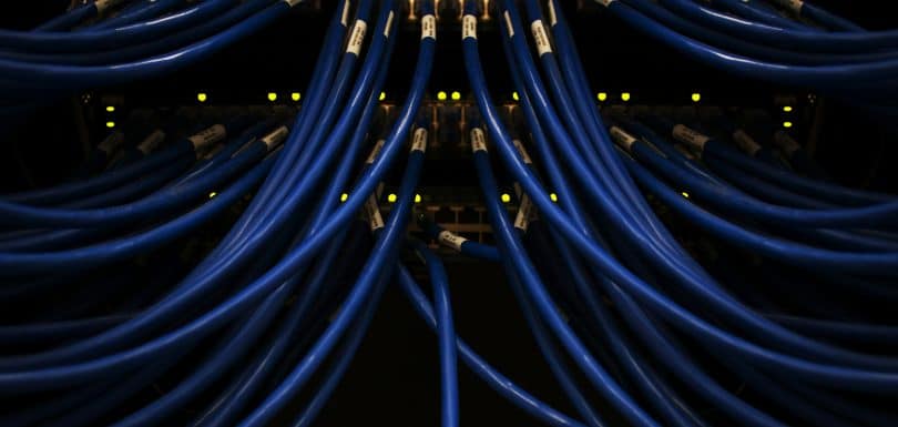 Blue Ethernet cables plugged into networking equipment
